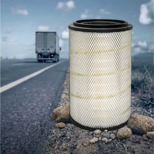 Baldwin PA2521 filtro aire sello axial
