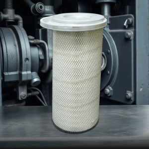Baldwin PA4585 filtro de aire sello axial