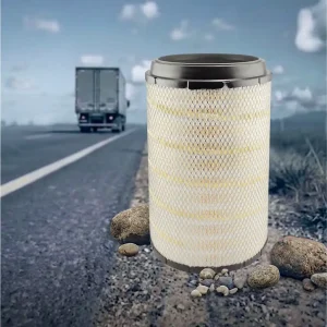 Baldwin RS4636 filtro aire sello radial
